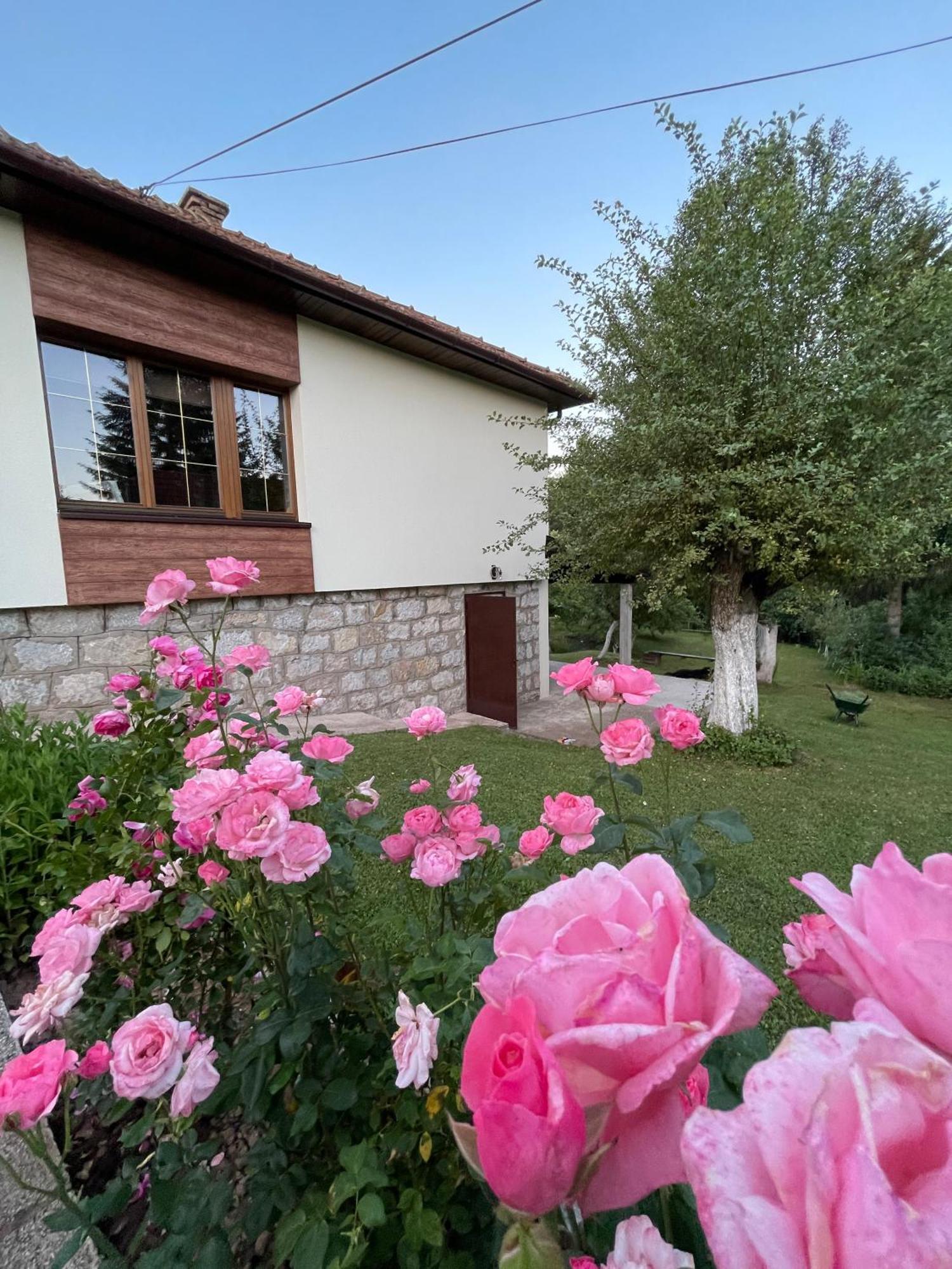 Villa Vikendica Pasa Pale Exterior foto